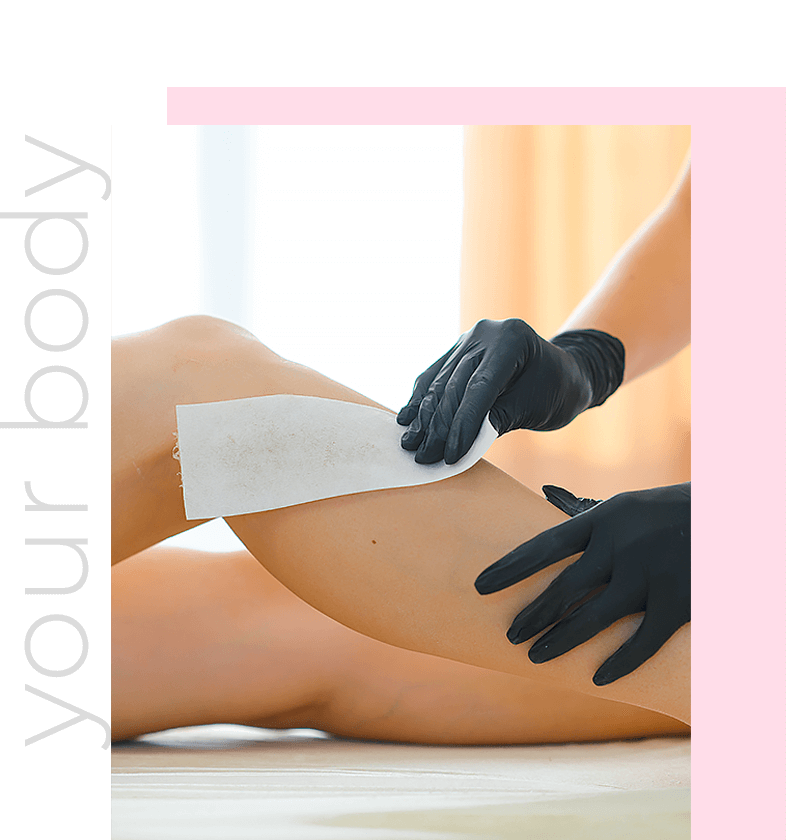 Your Body